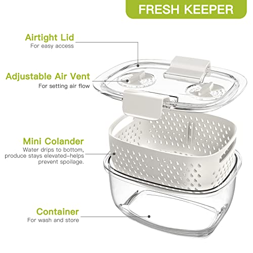 Lot de 3 boîtes de conservation pour fruits et légumes frais, sans BPA