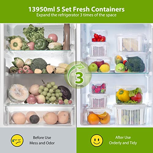 Produce Storage Containers with Lid & Colander BPA Free,5 Pack Set