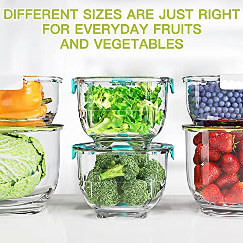 Lot de 3 boîtes de conservation pour fruits et légumes frais, sans BPA