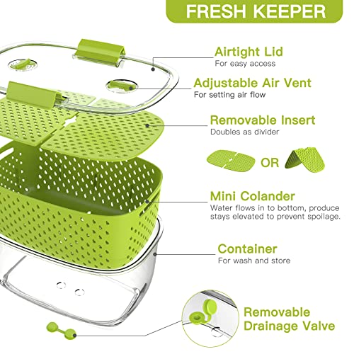 Lot de 3 boîtes de conservation pour fruits et légumes frais, sans BPA