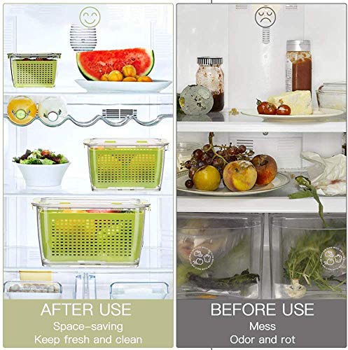 Fresh Container, LUXEAR 3 Pack Fruit Storage Container Partitioned Produce  Container for Refrigerator White